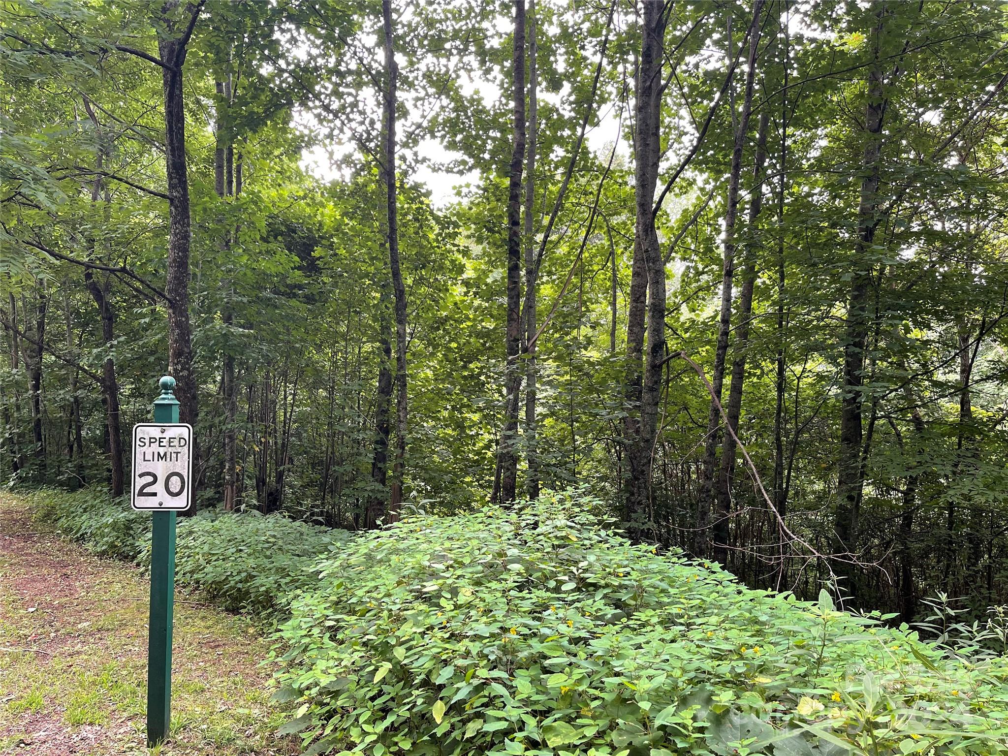 Friendly Acres - Land