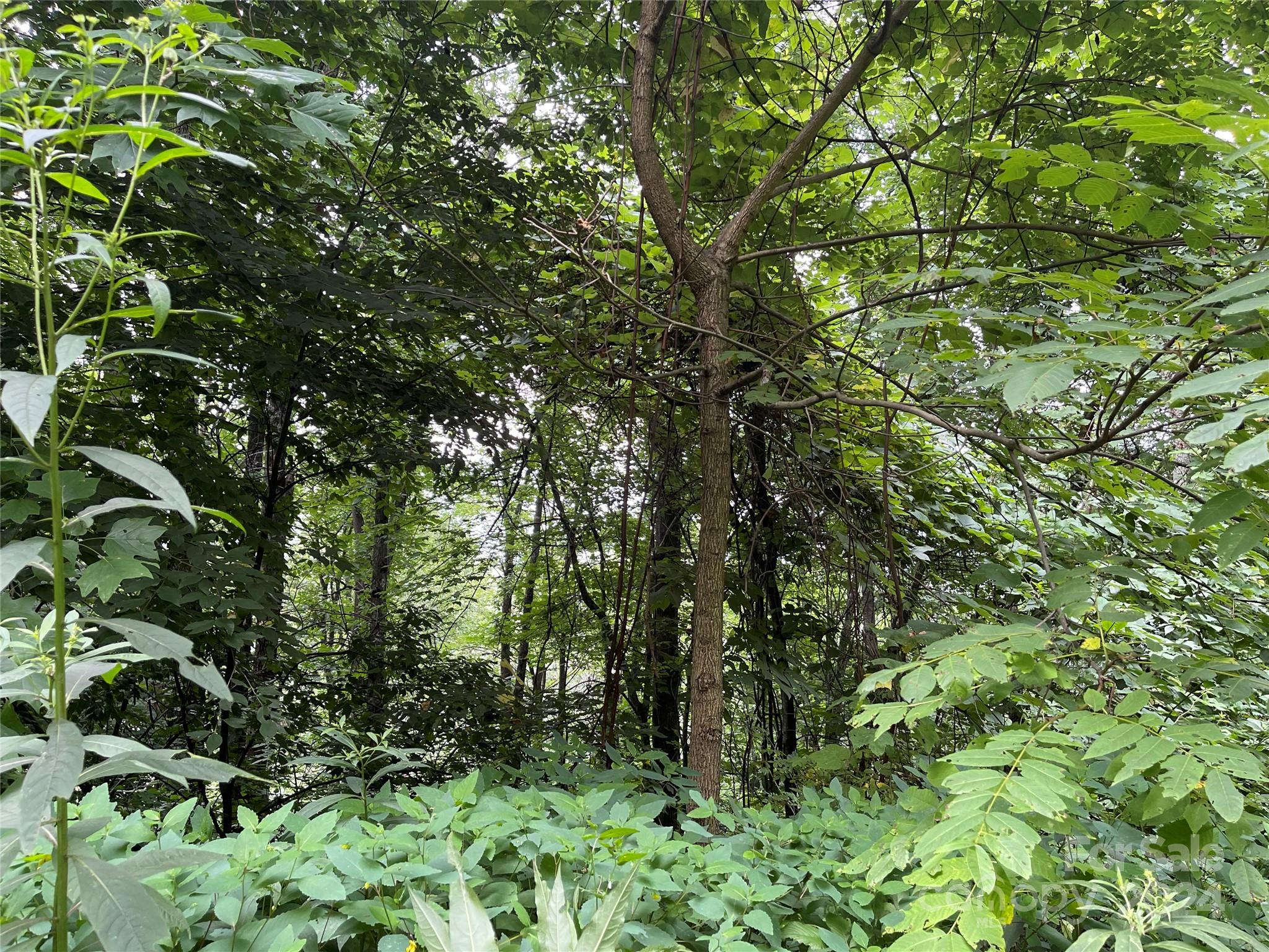 Friendly Acres - Land