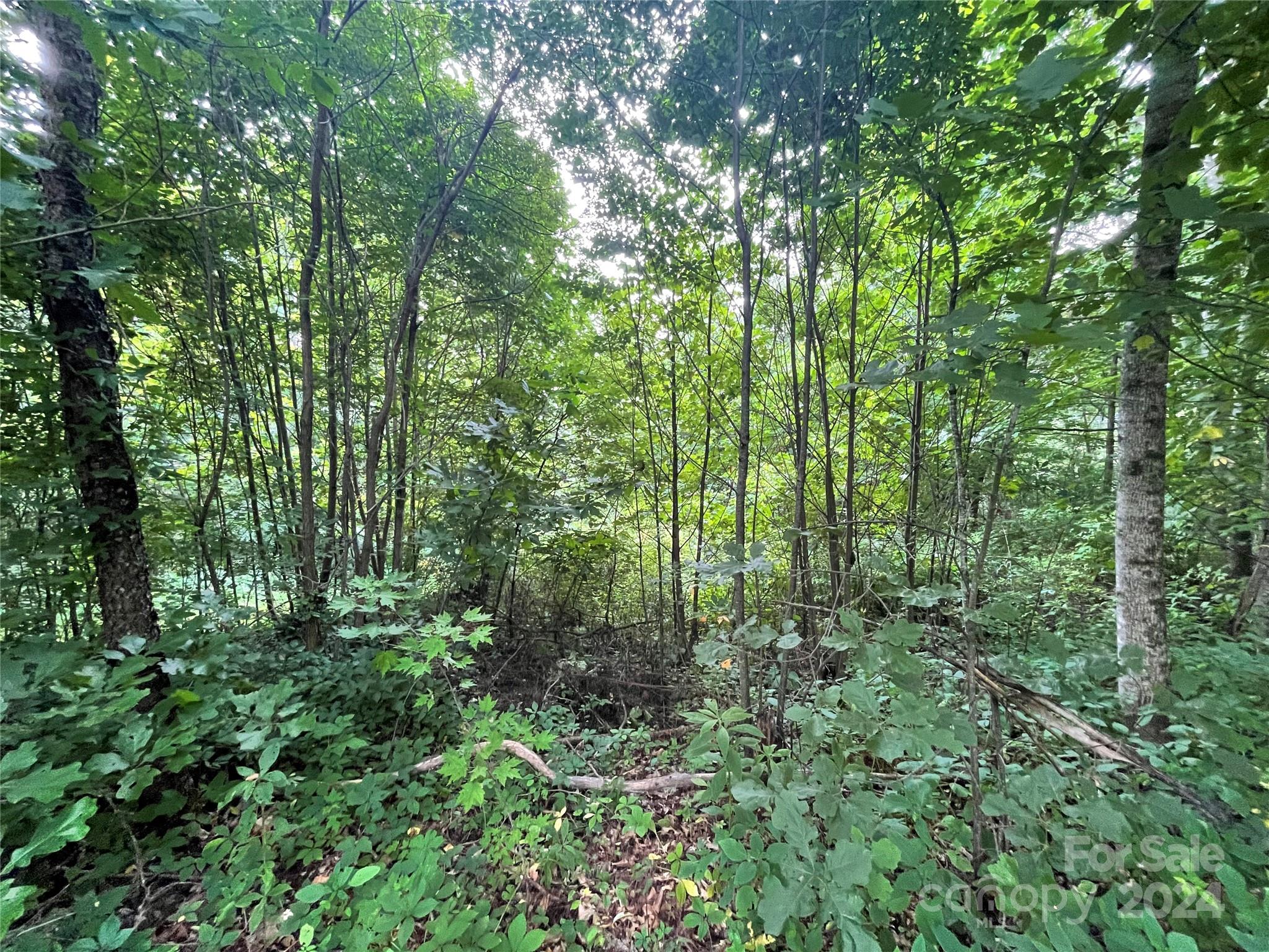 Friendly Acres - Land