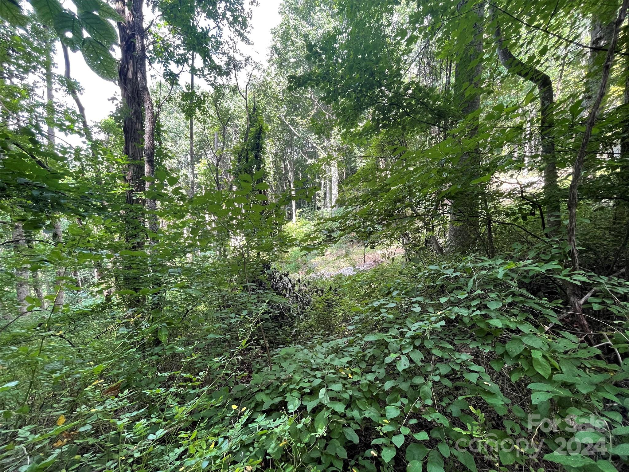 Friendly Acres - Land