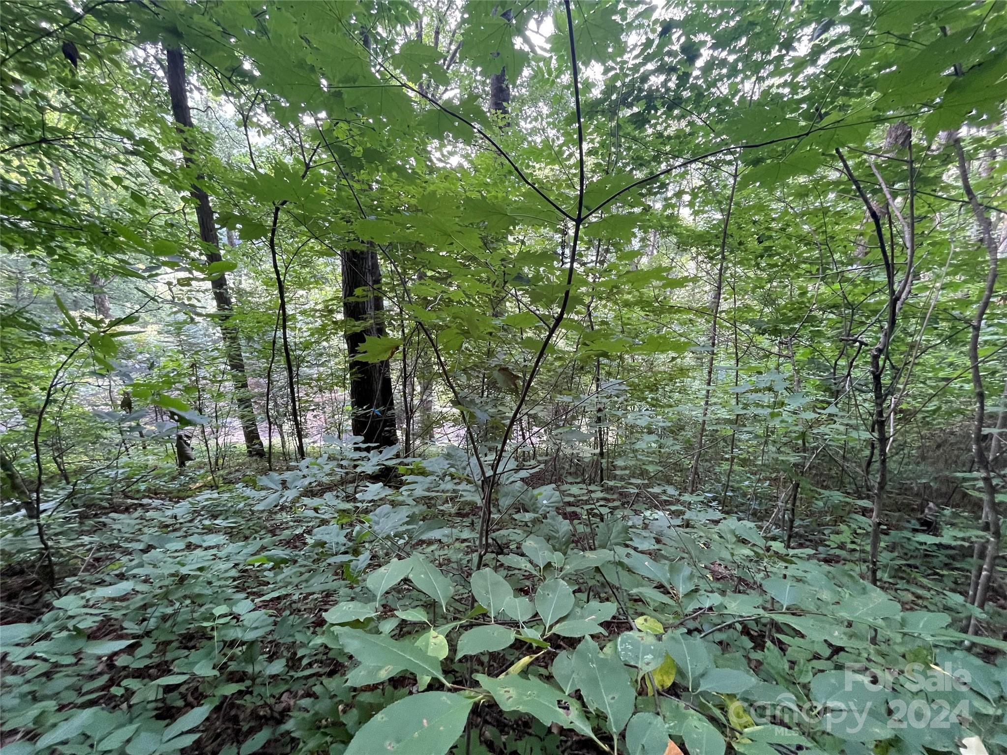 Friendly Acres - Land