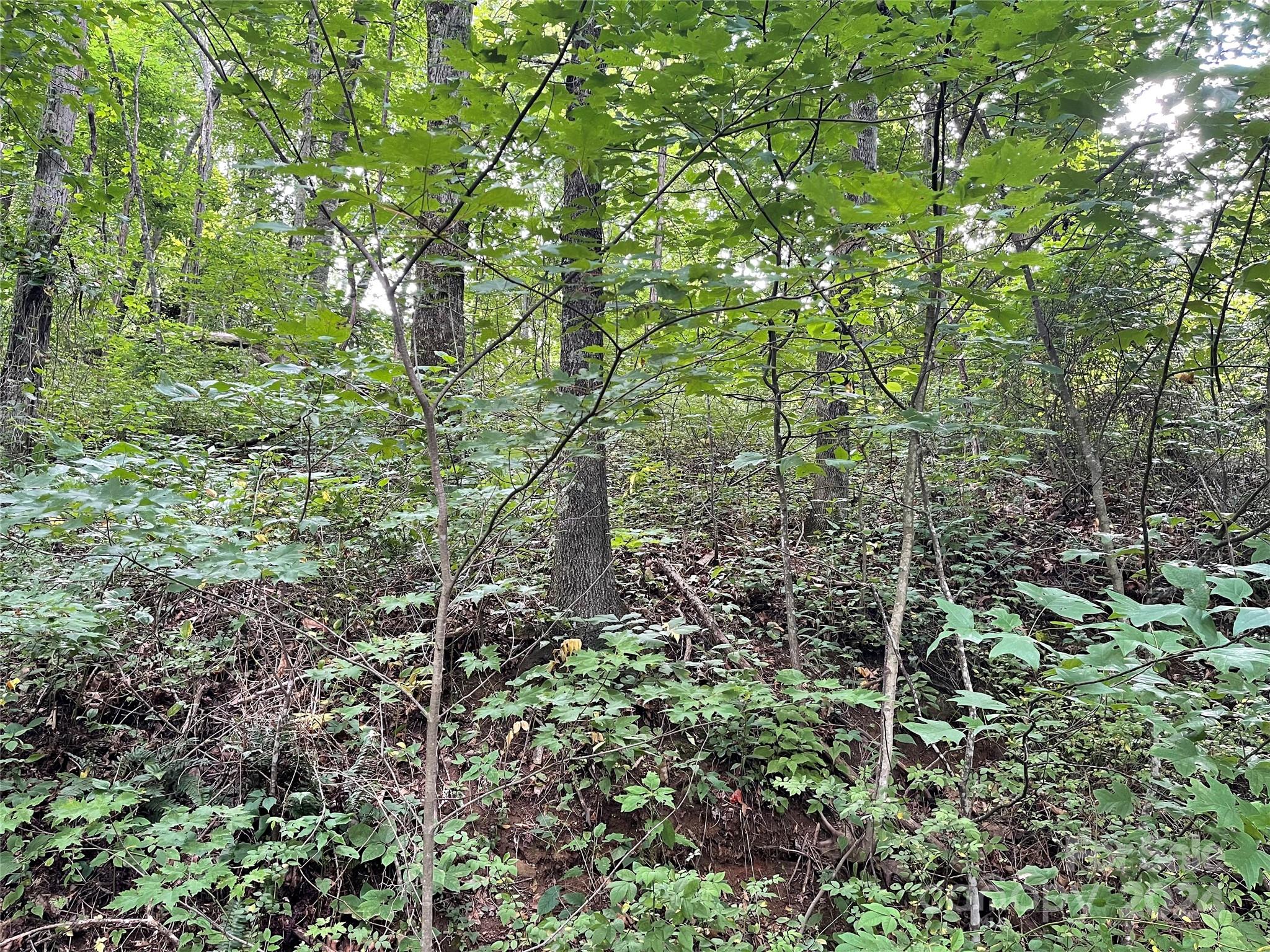 Friendly Acres - Land