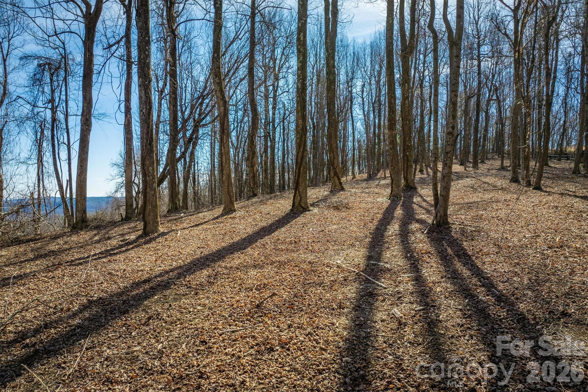 Walkertop Mountain Overlook - Land