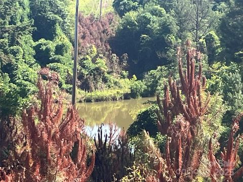 536-4 Pea Ridge Road Mill Spring NC 28756