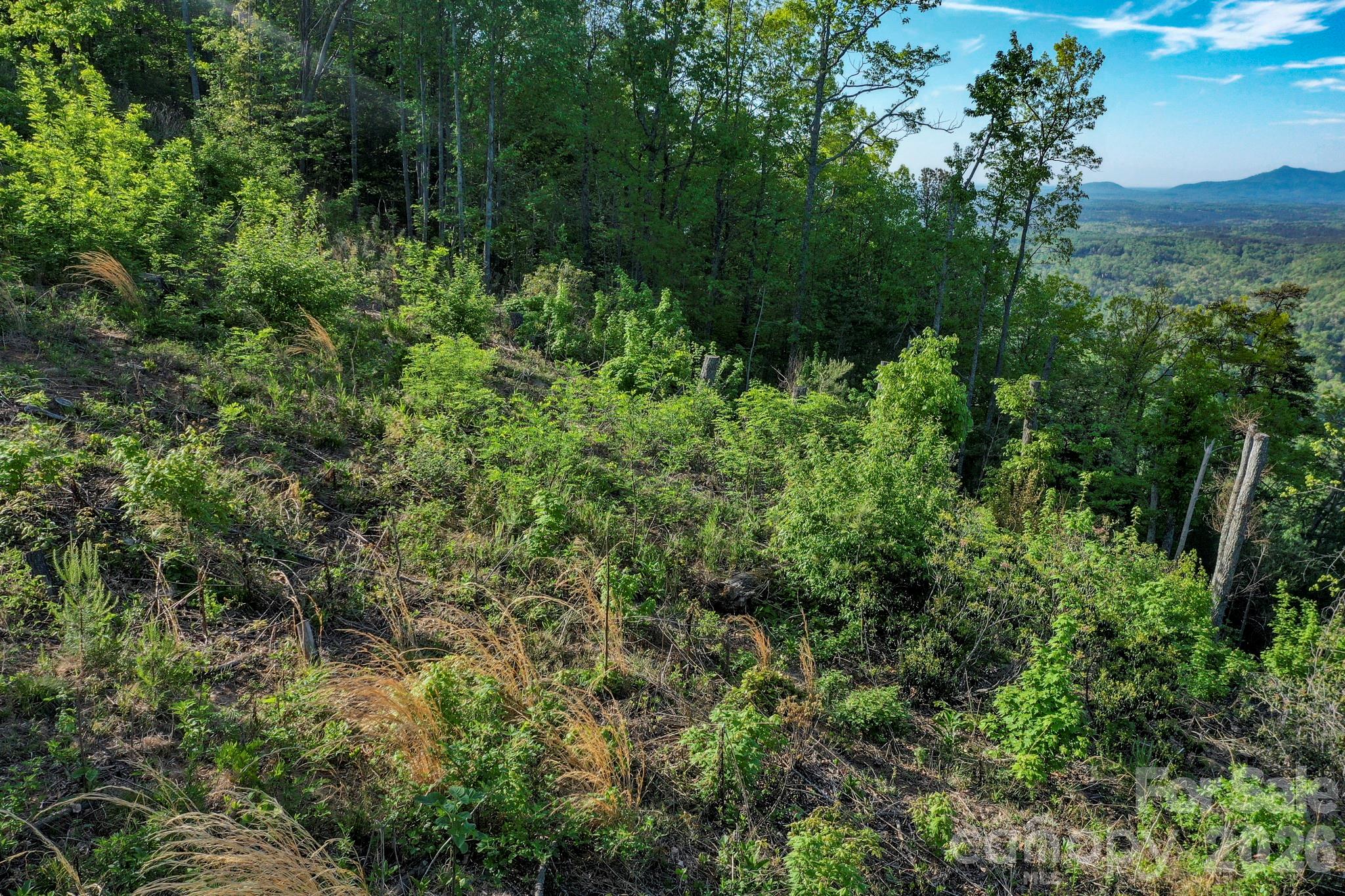 Vista At Bills Mountain - Land