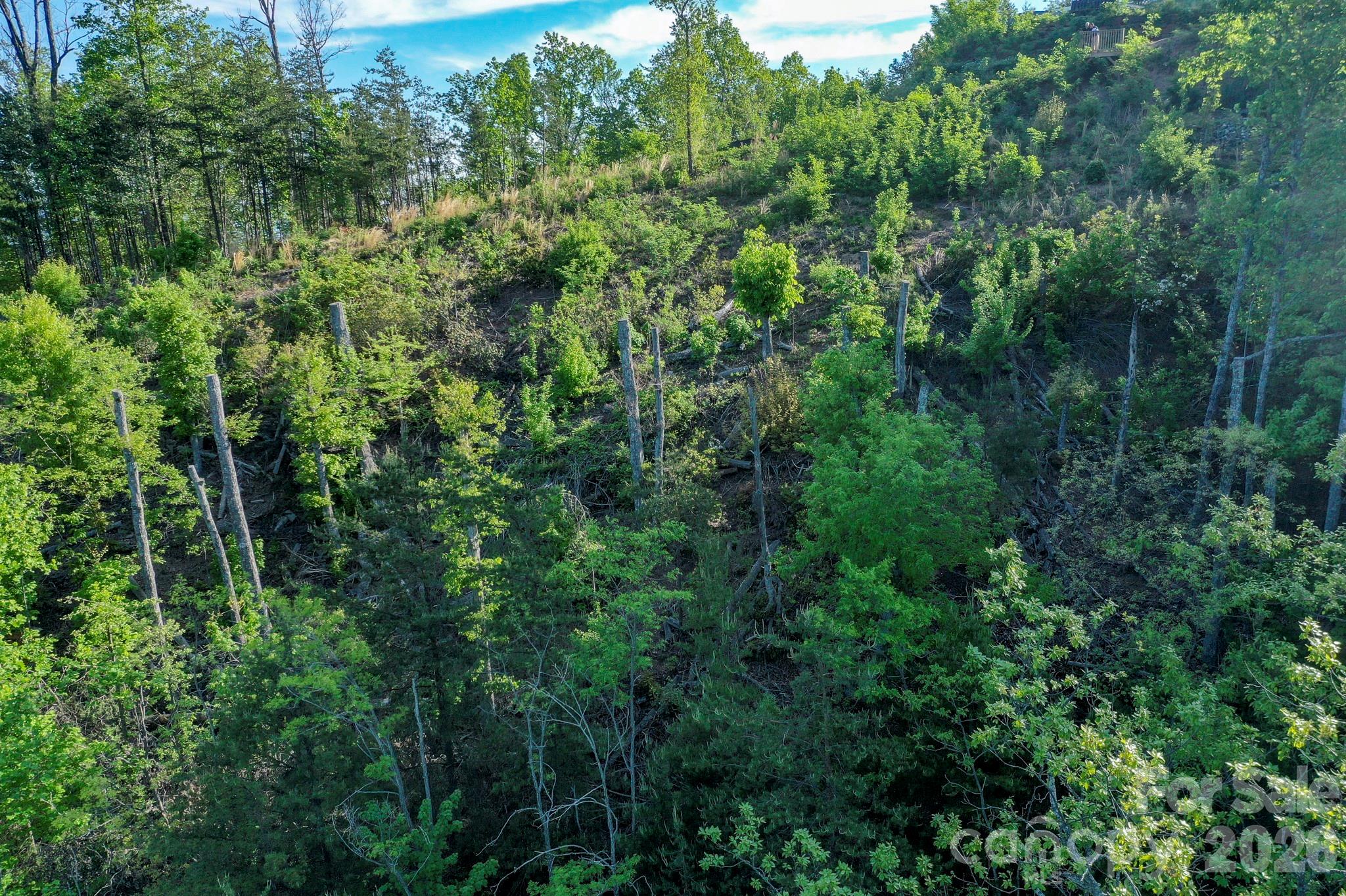 Vista At Bills Mountain - Land