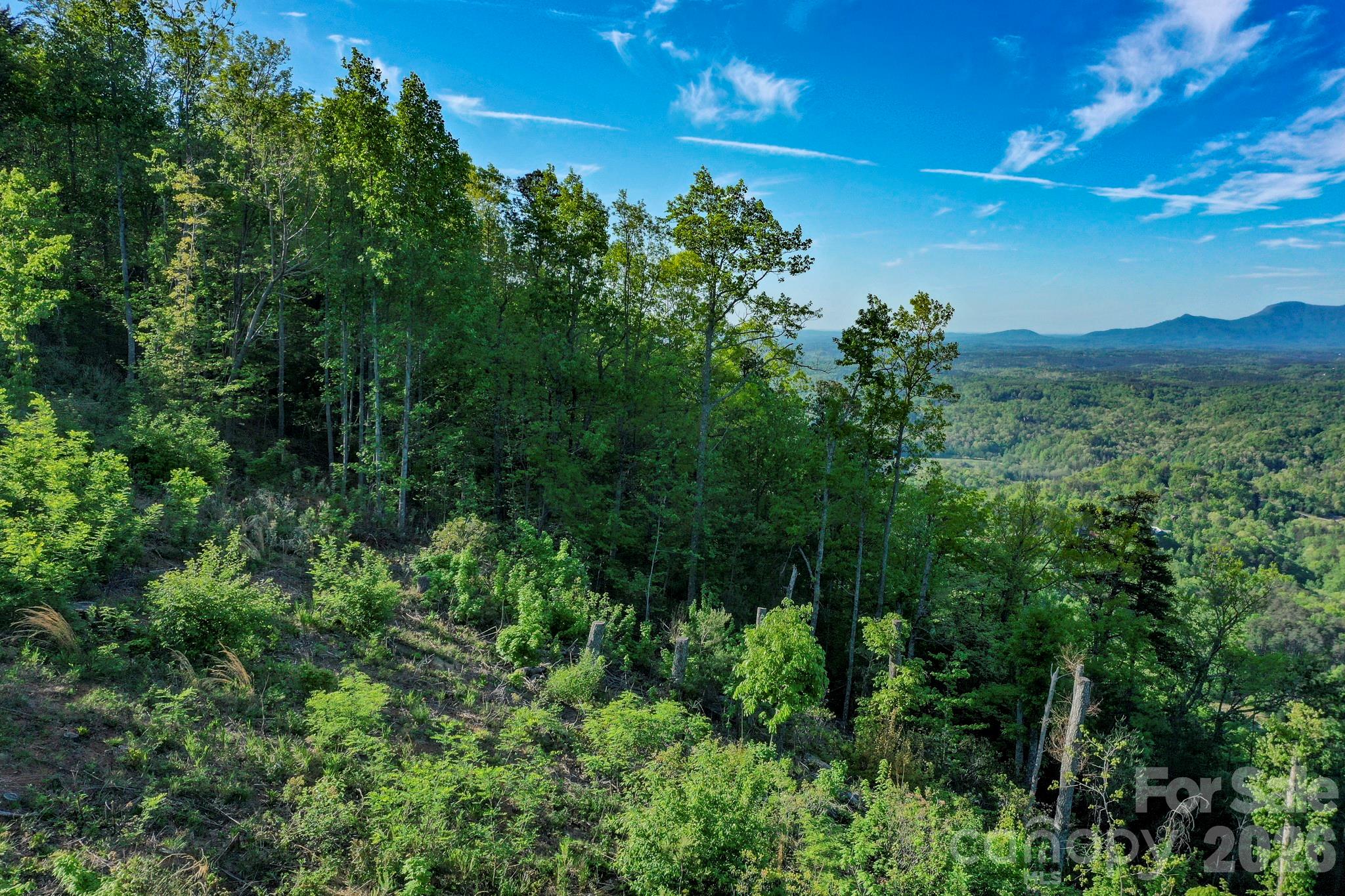 Vista At Bills Mountain - Land