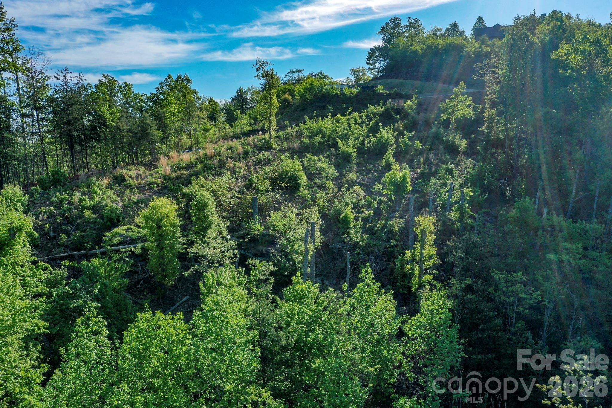 Vista At Bills Mountain - Land
