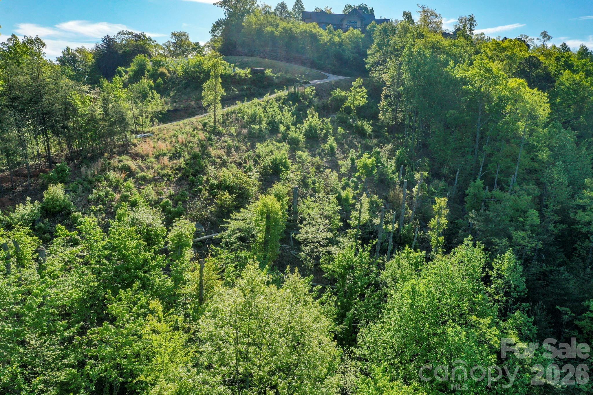 Vista At Bills Mountain - Land