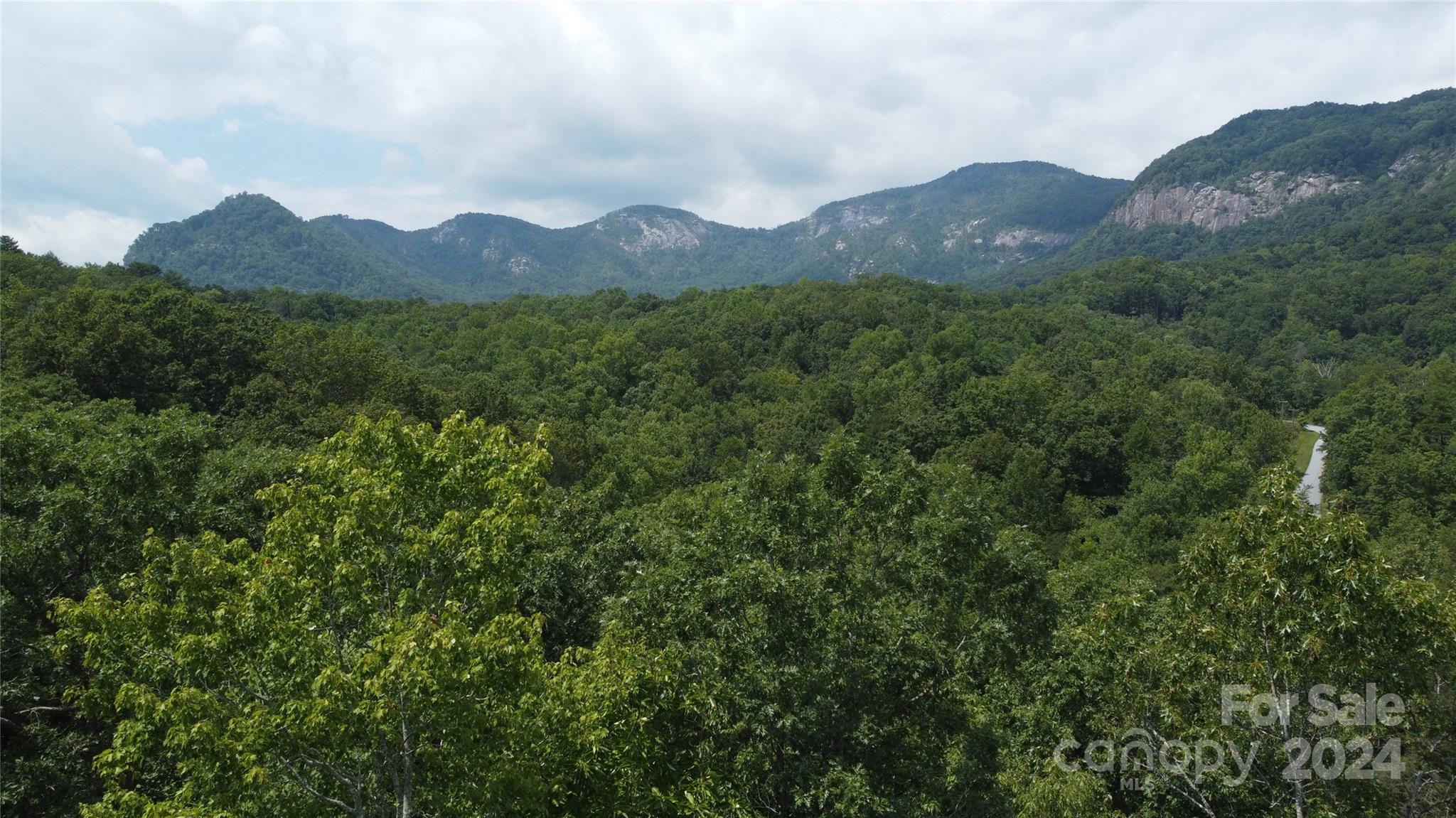 The Camp at Lake Lure - Land