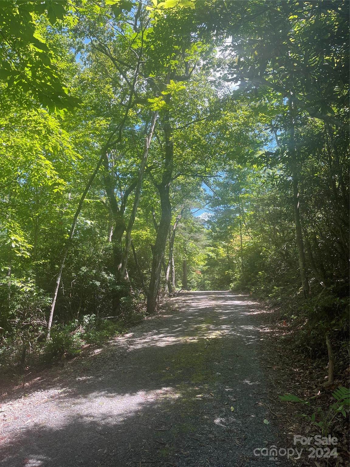 The Camp at Lake Lure - Land