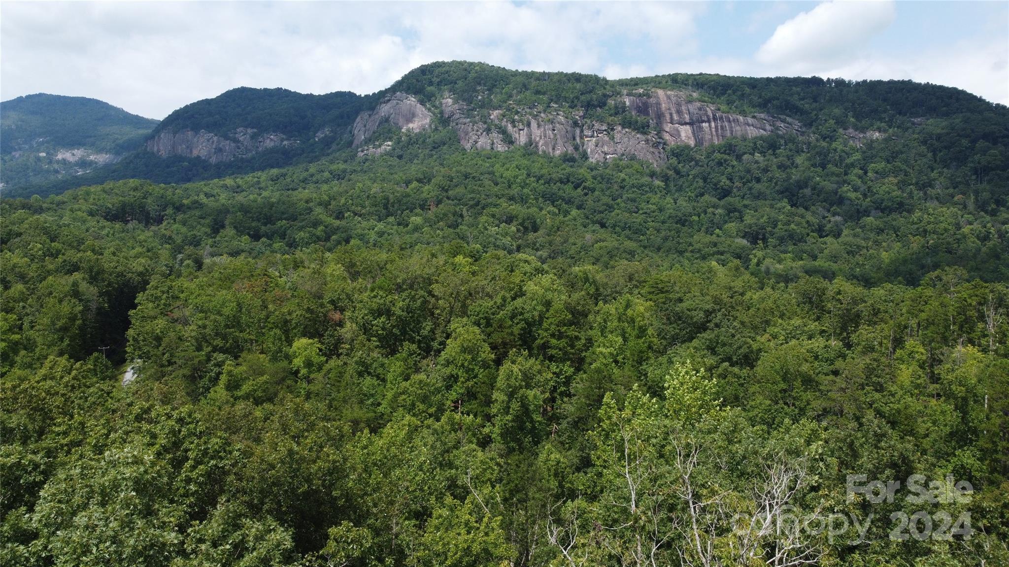 The Camp at Lake Lure - Land