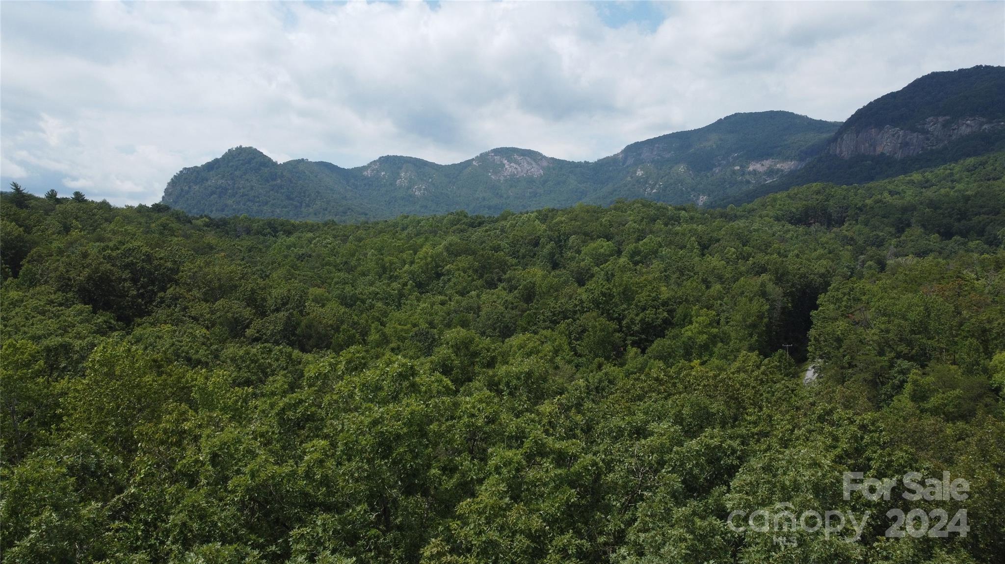 The Camp at Lake Lure - Land