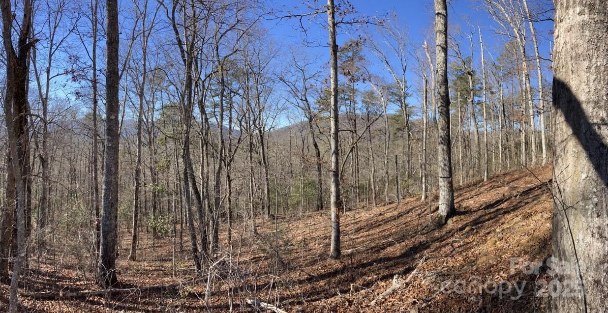 Osprey Village - Land