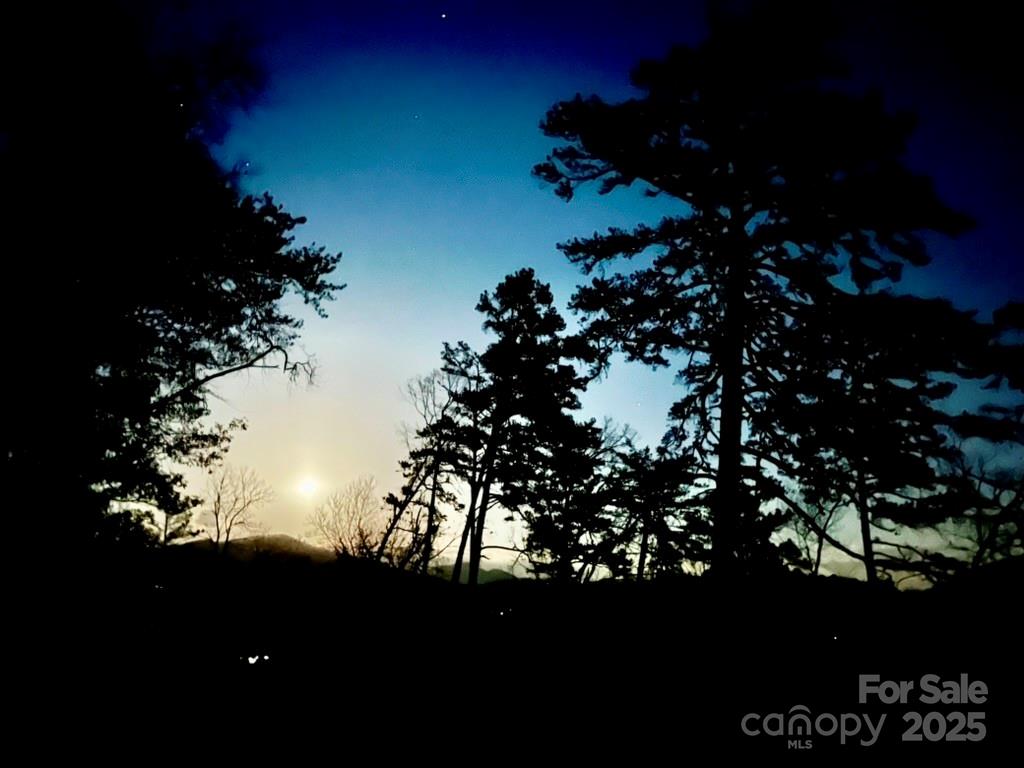 Osprey Village - Land