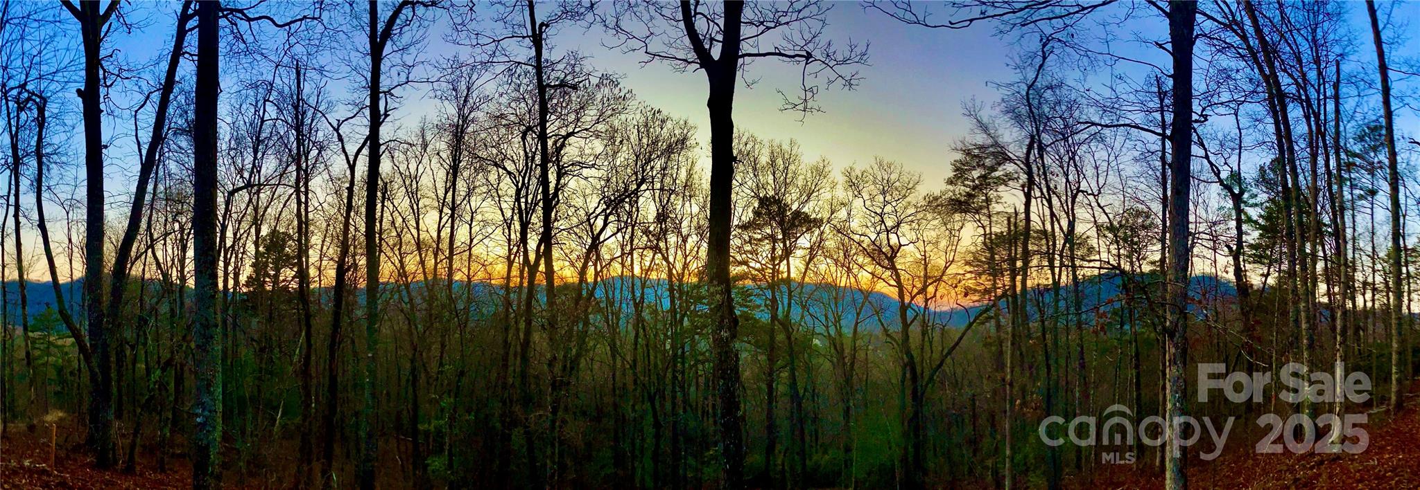 Osprey Village - Land