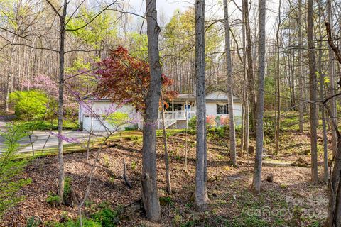 21 Mann Road Asheville NC 28805