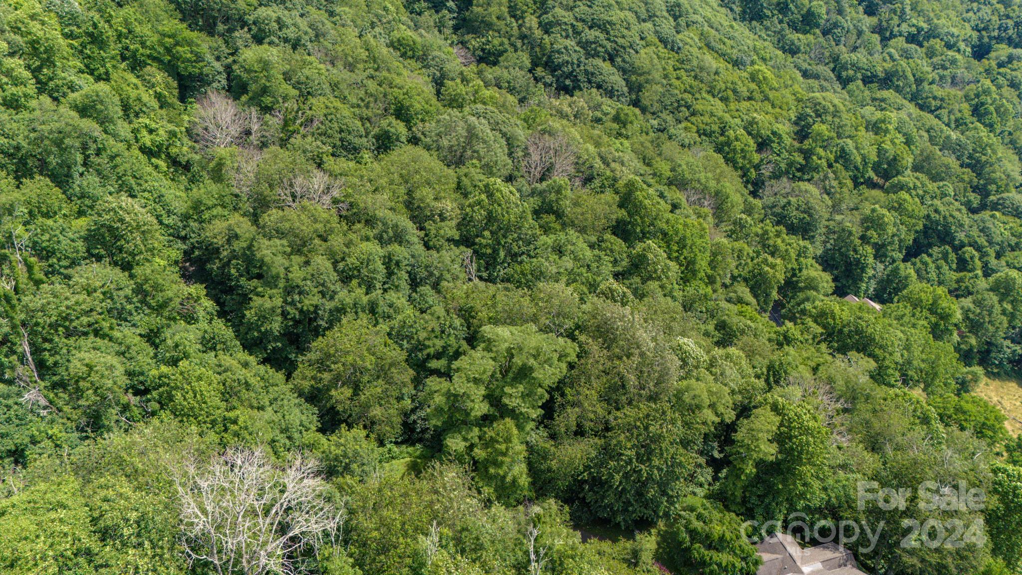 Crestview Pointe - Land