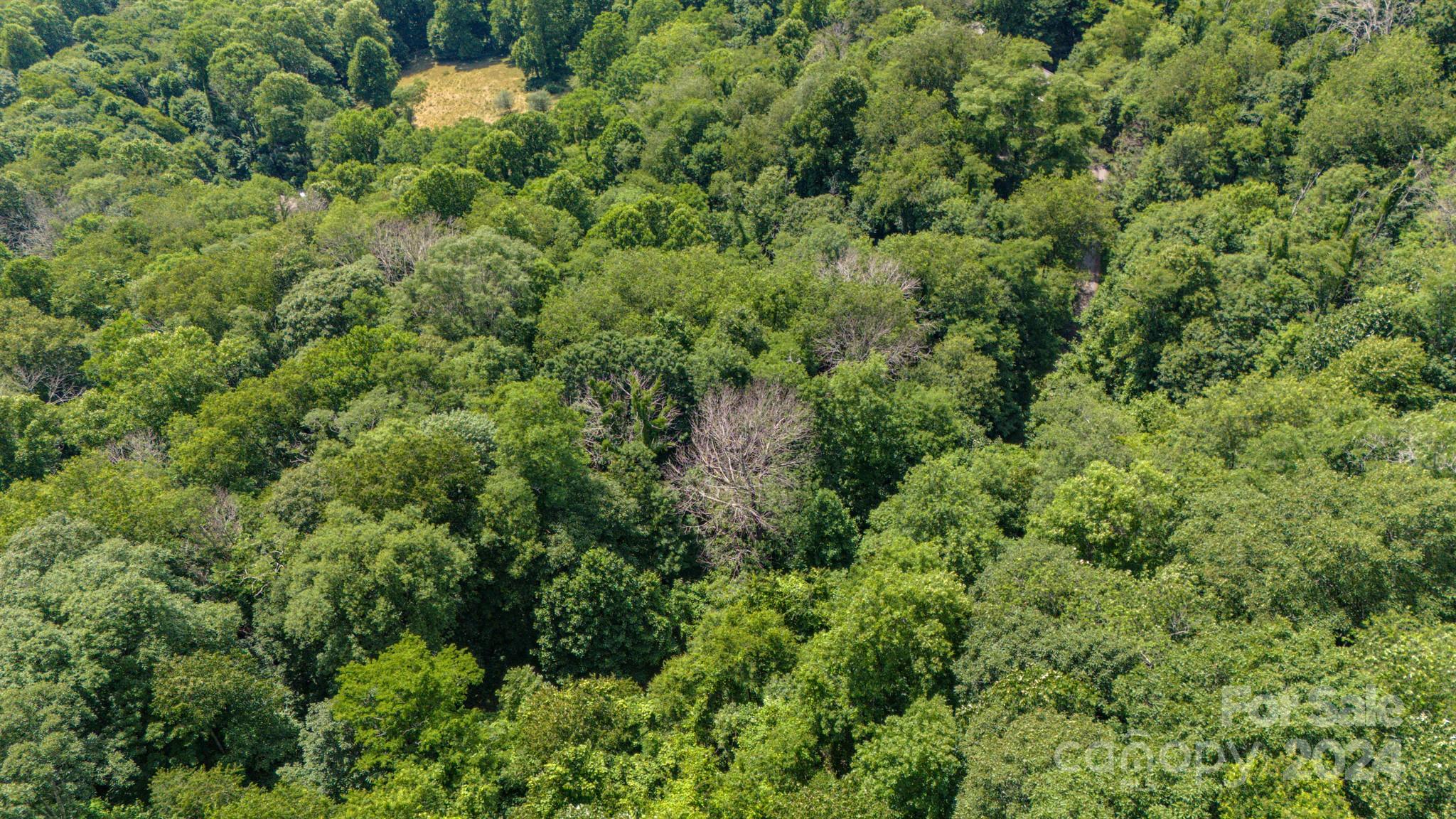 Crestview Pointe - Land