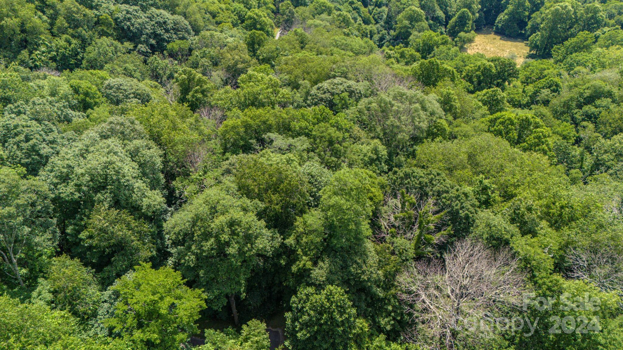 Crestview Pointe - Land