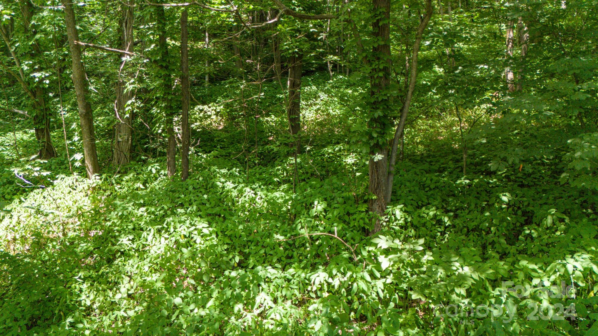 Crestview Pointe - Land