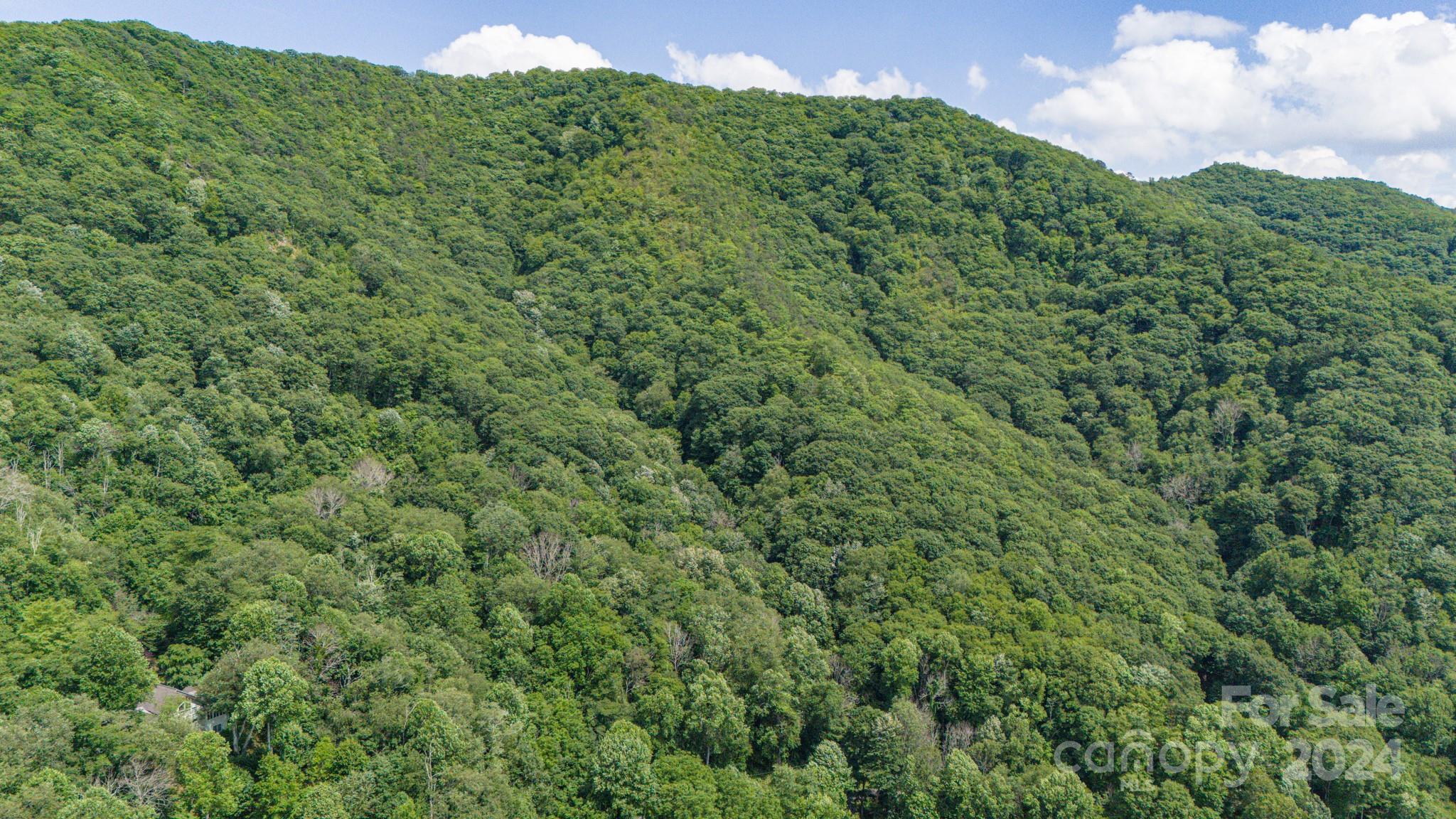 Crestview Pointe - Land