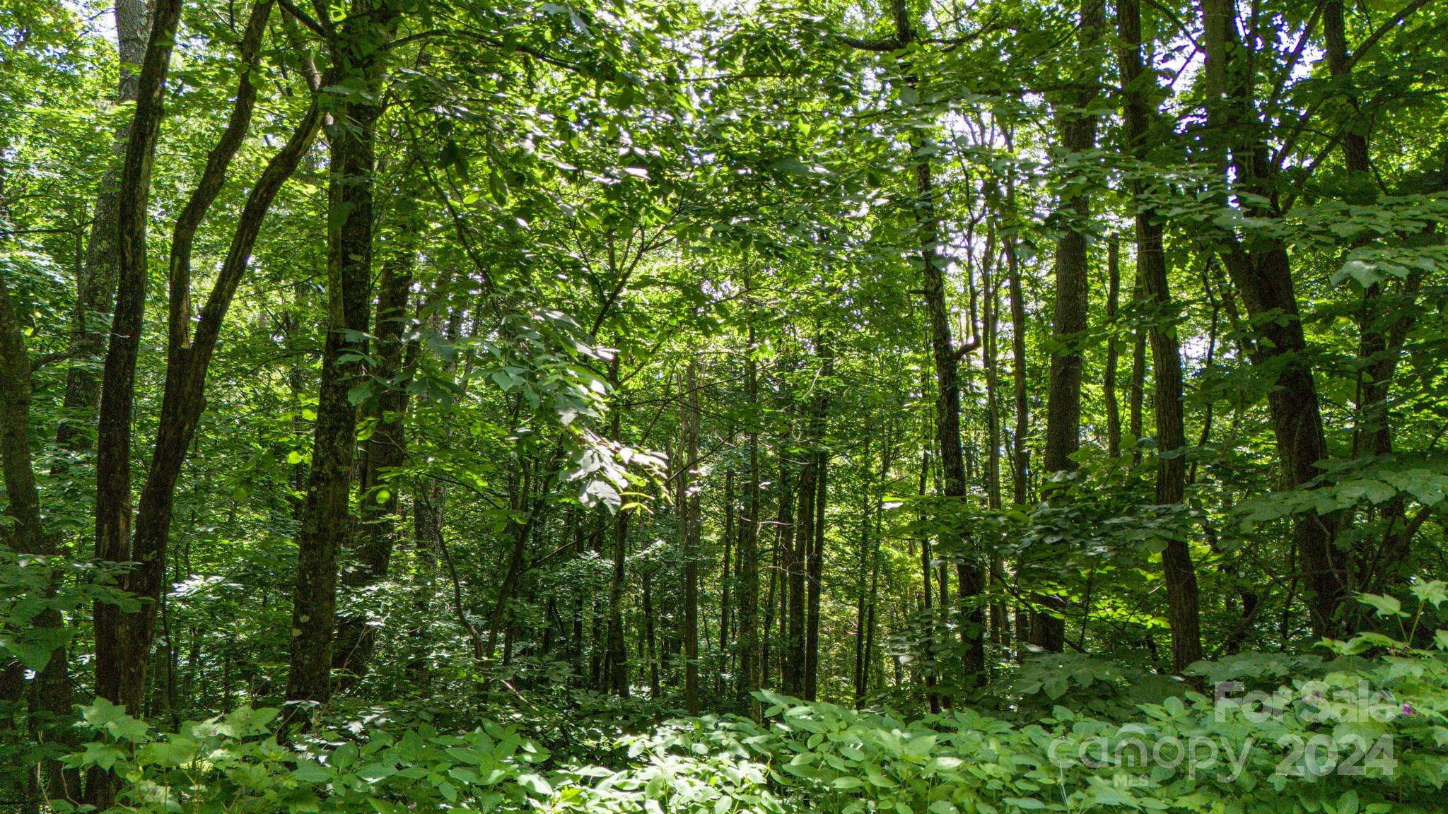 Crestview Pointe - Land