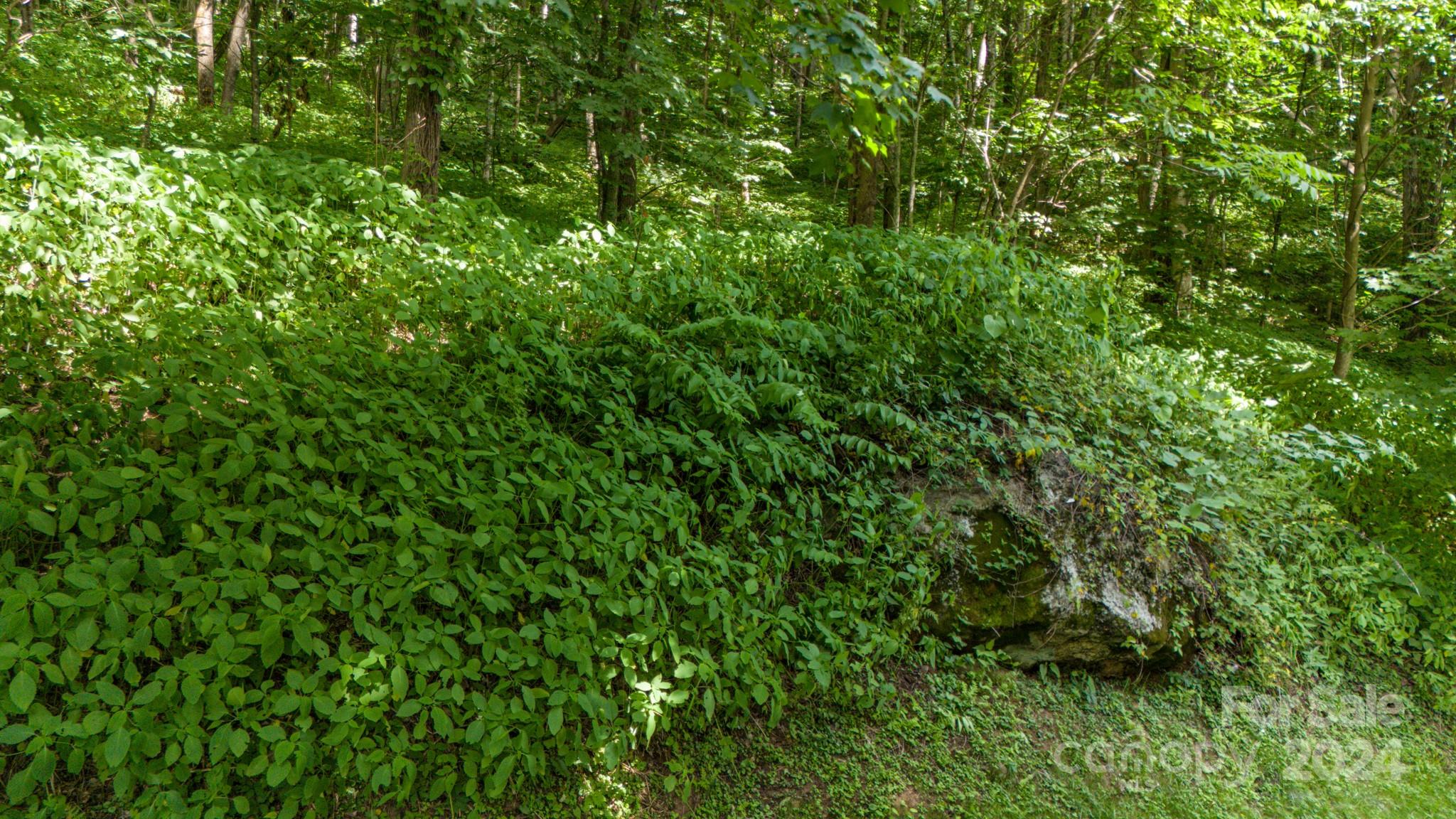 Crestview Pointe - Land