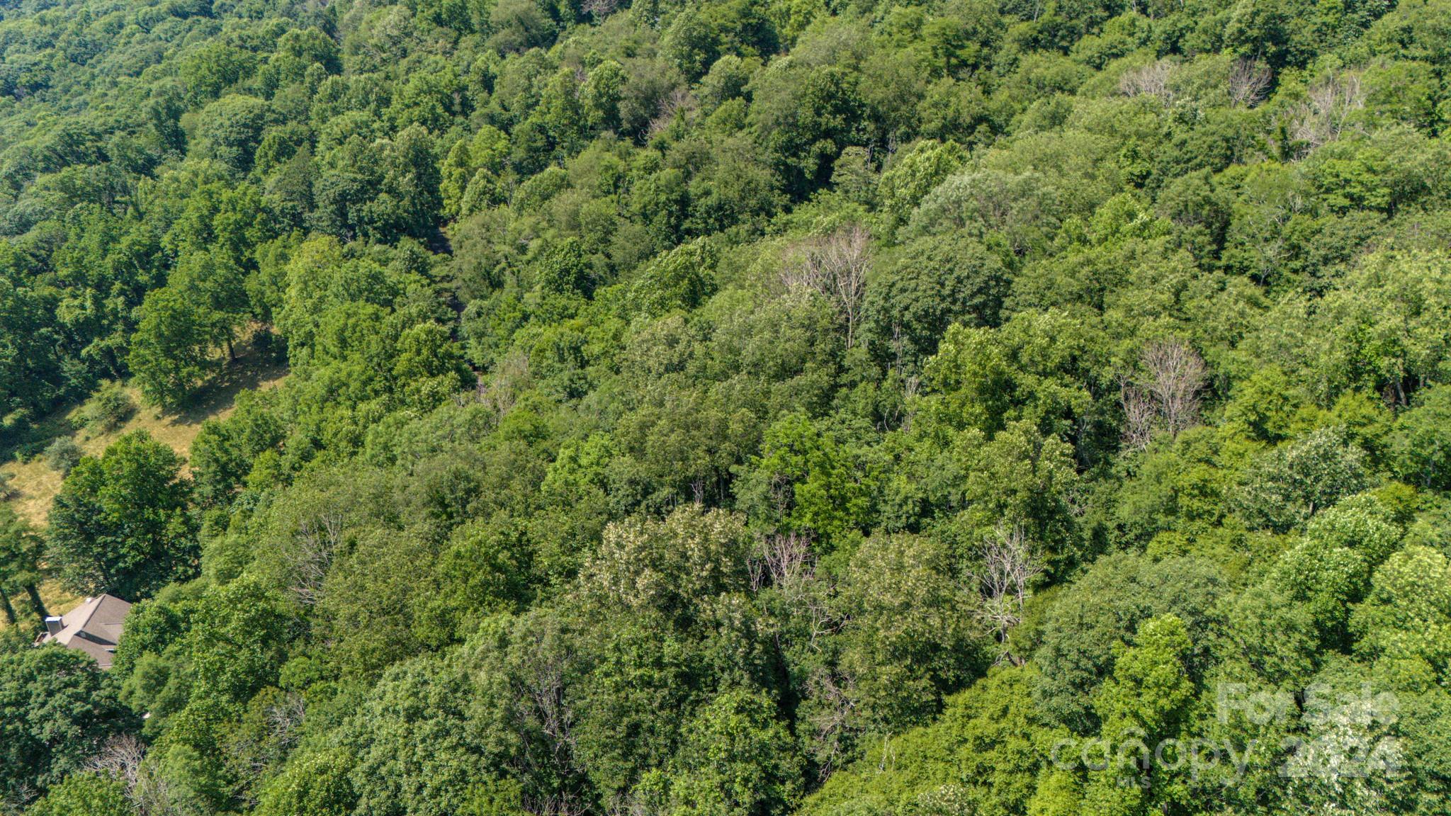 Crestview Pointe - Land