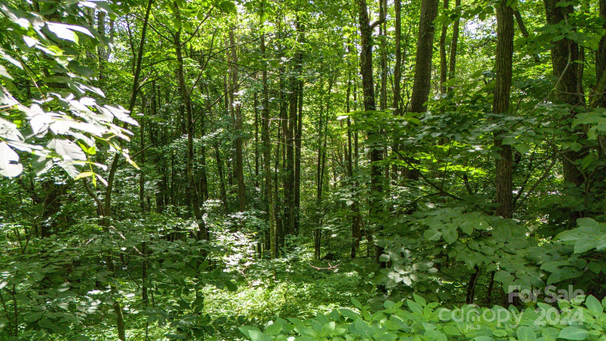 Crestview Pointe - Land