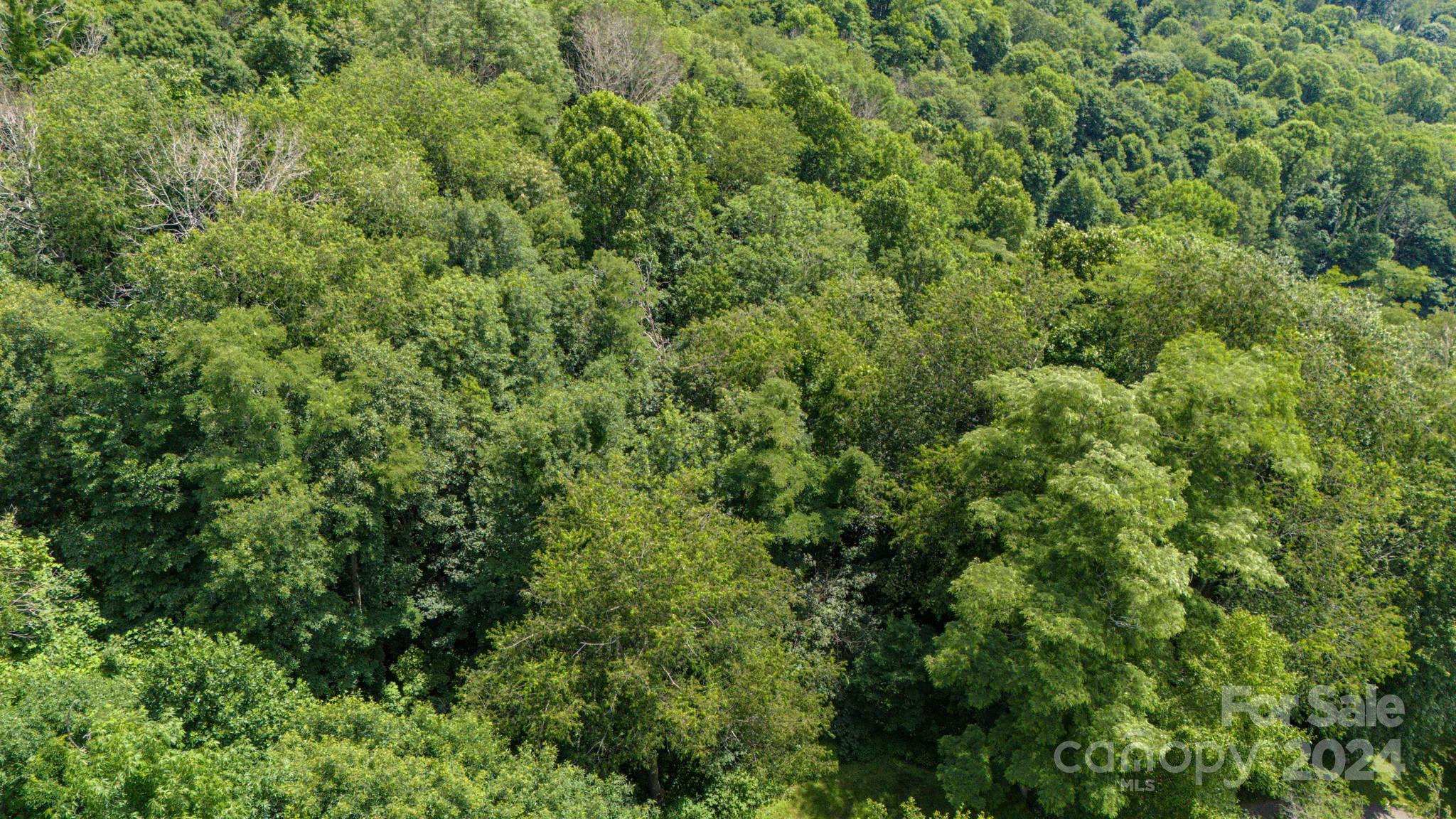 Crestview Pointe - Land