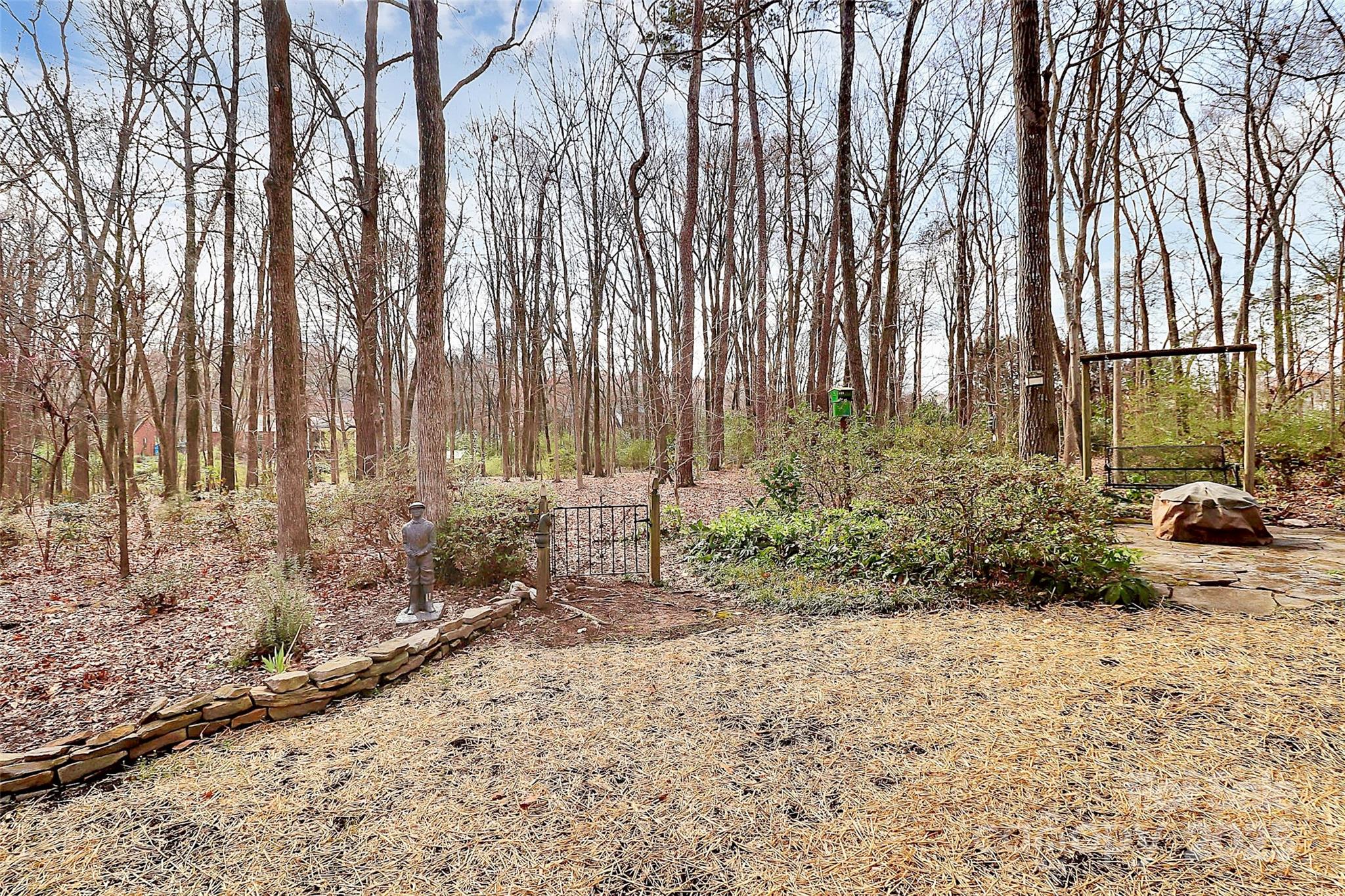 Carriage Downs - Residential