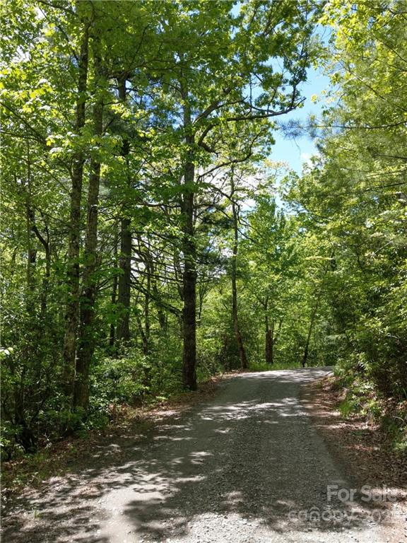 000 Dogwood Drive E7