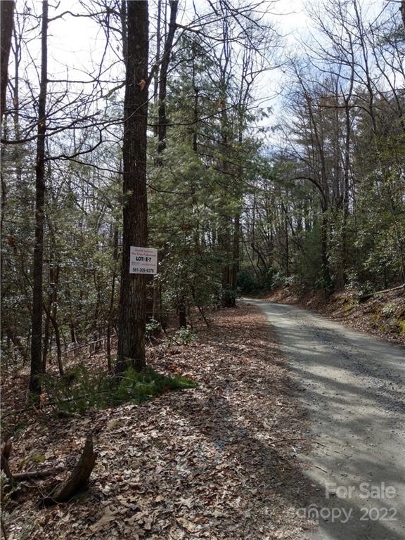 000 Dogwood Drive E7