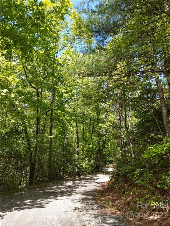 000 Dogwood Drive Unit E7, Penrose, NC, 28766