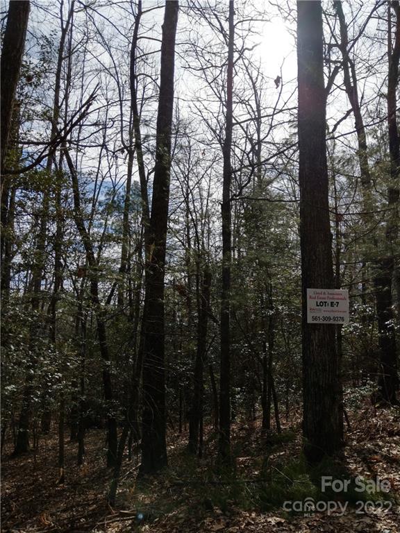 000 Dogwood Drive E7