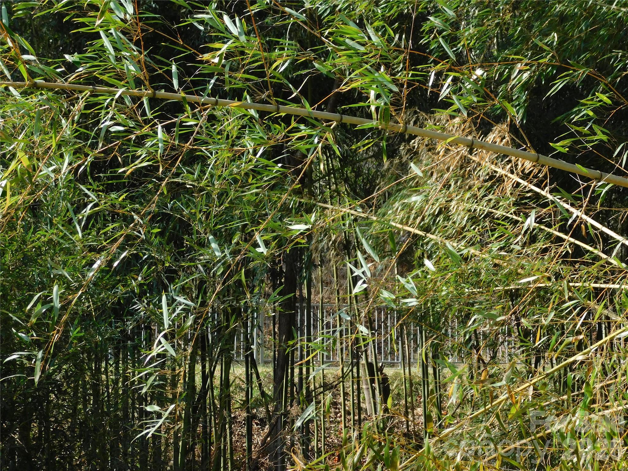 Green Acres - Residential