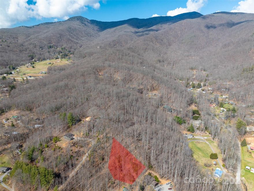 Great location and access just off Great Smoky Mountain Expressway with 0.54 wooded acres, priced to sell. Well and septic needed.