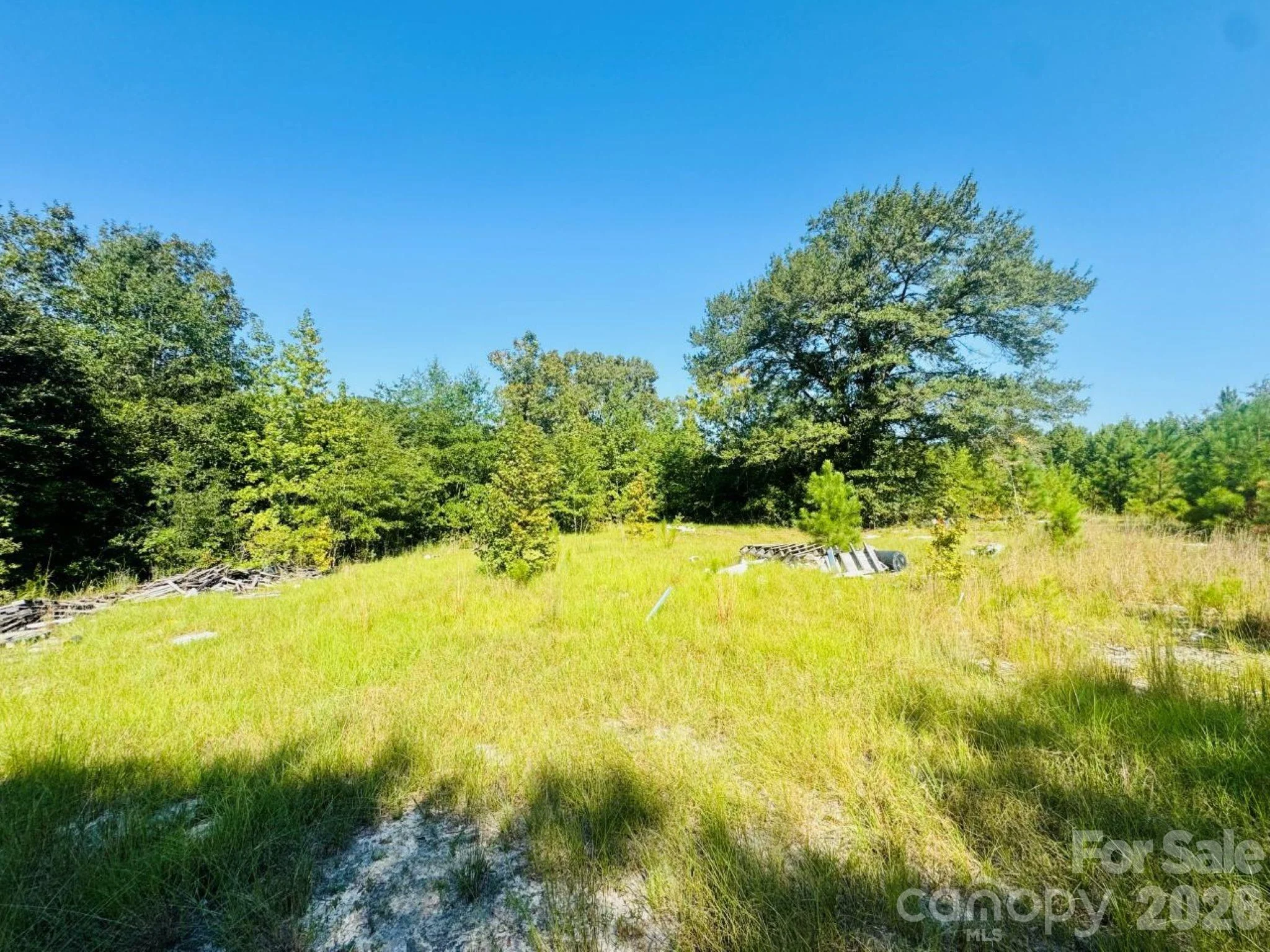 499 Mac Jowers Lane, Jefferson, SC, 29718