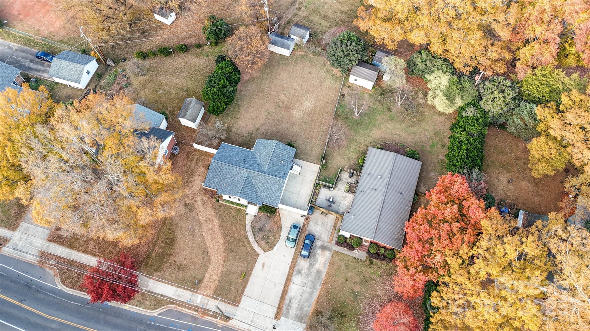 319 Scaleybark Drive