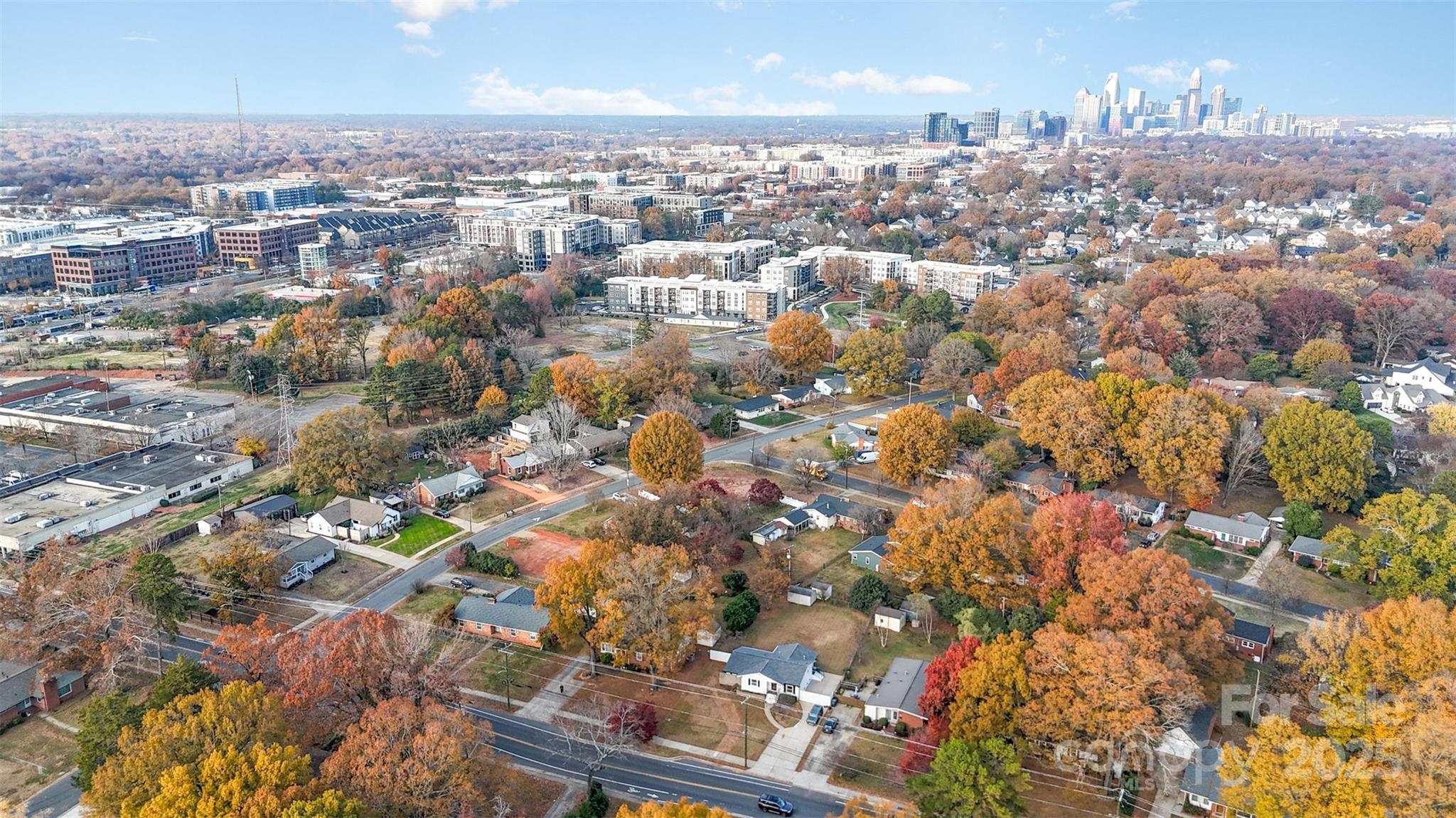 319 Scaleybark Drive