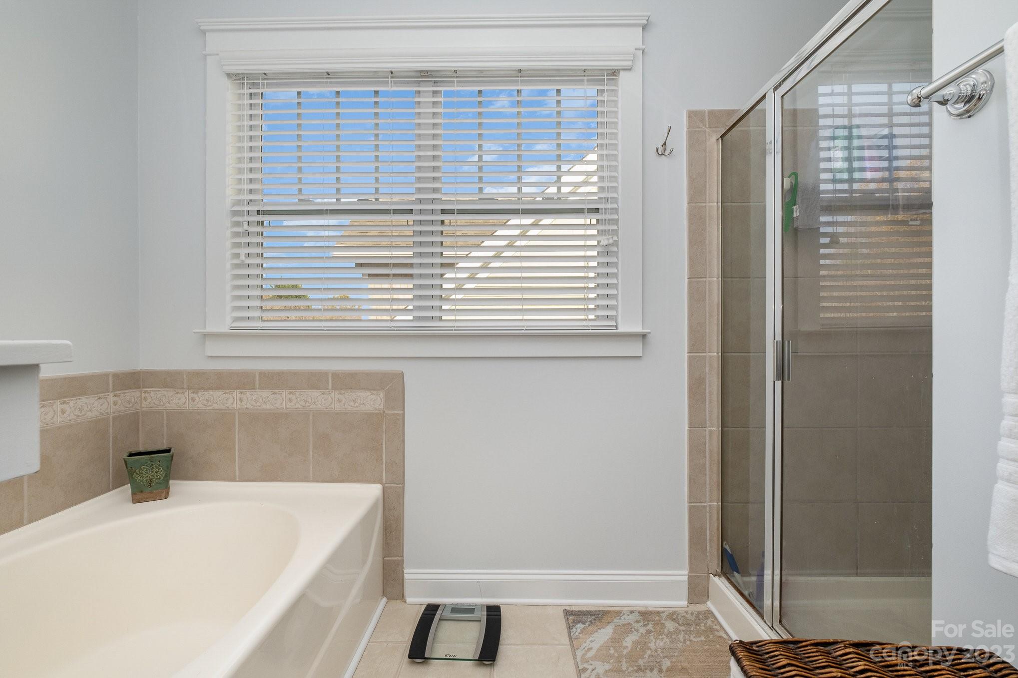 Water Oak - Residential