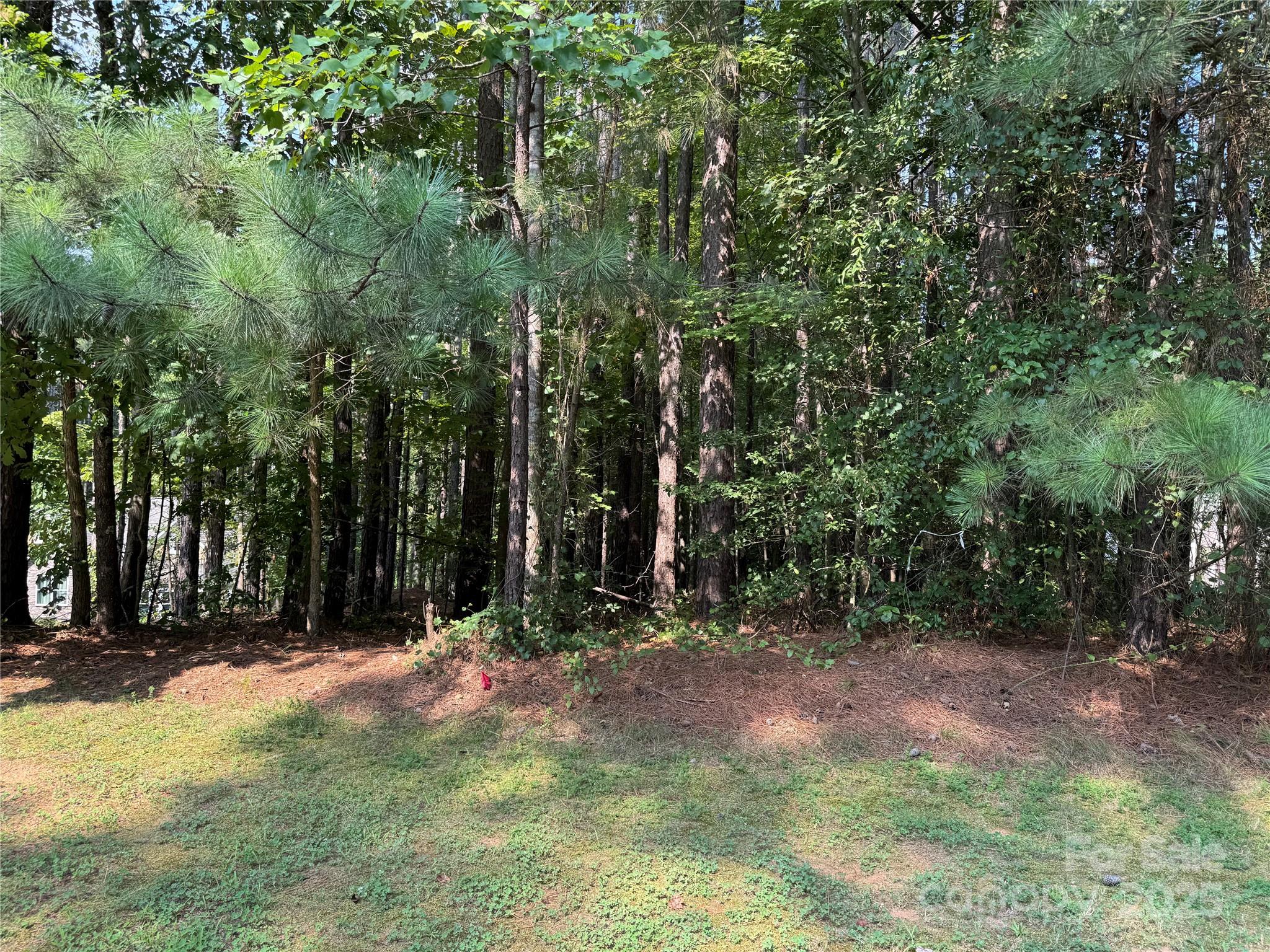 2347 Capes Cove Drive