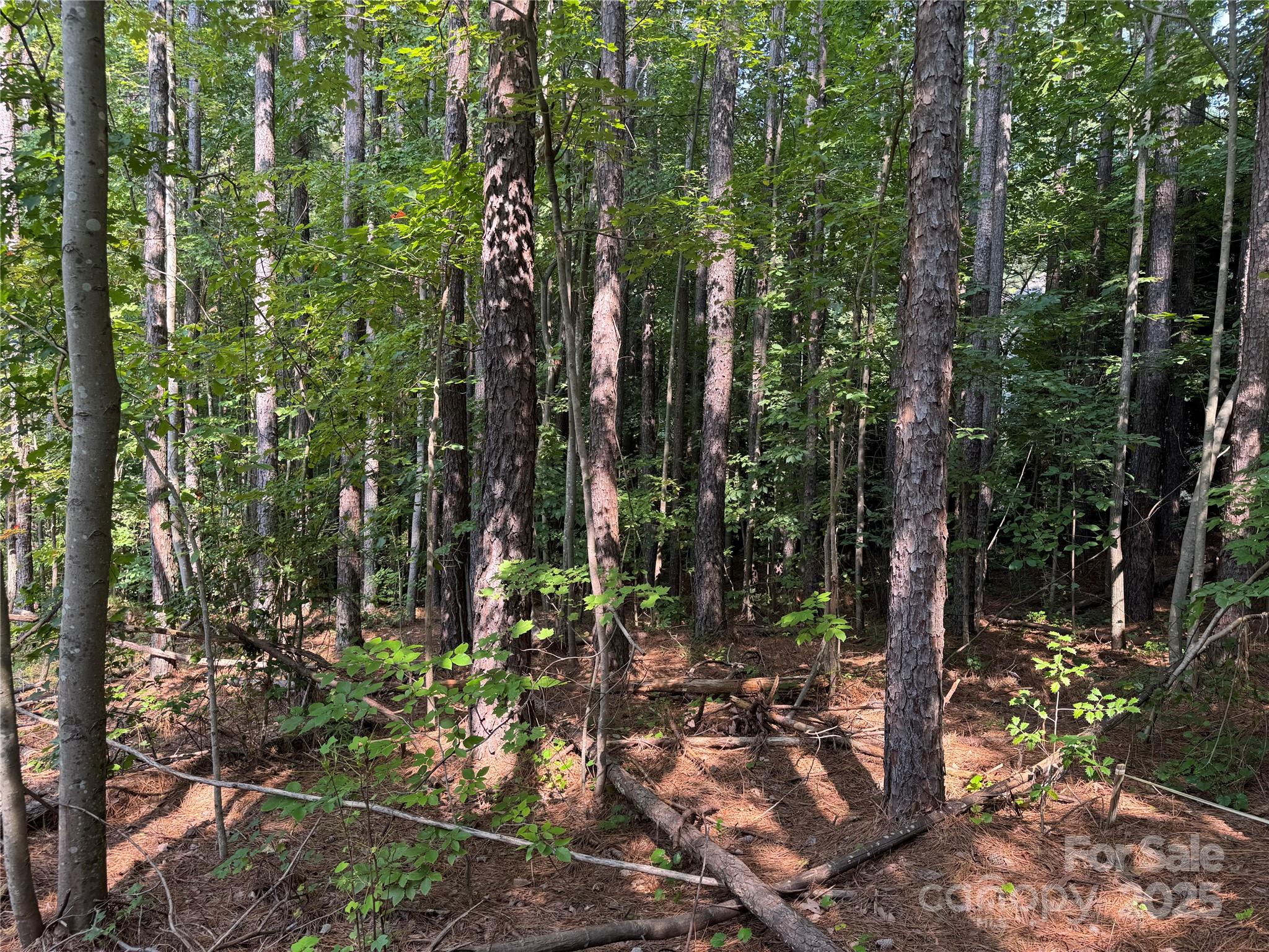 Northview Harbour - Land