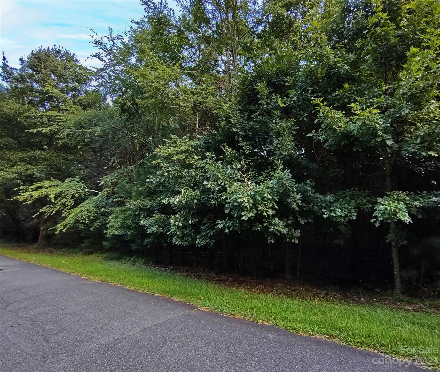 Whispering Oaks - Land