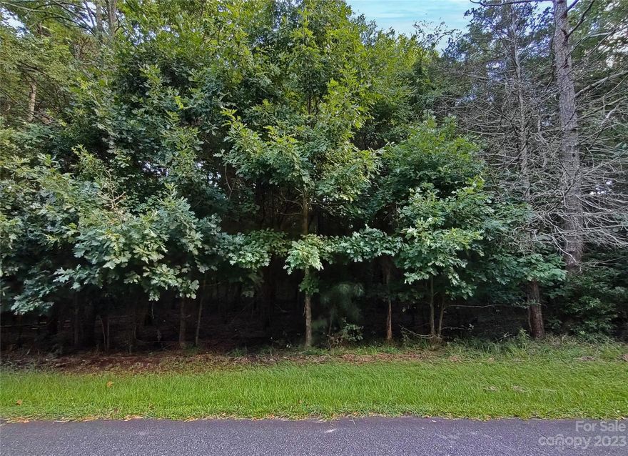 Here is your chance!  Blank canvas to build your dream home. This buildable lot has water and sewer access. Don't miss your chance.