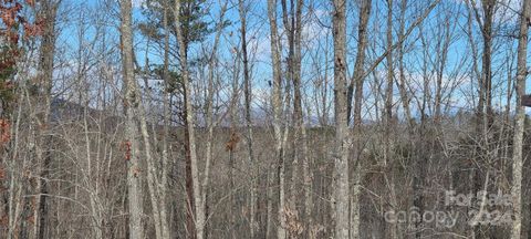 A home in Rutherfordton