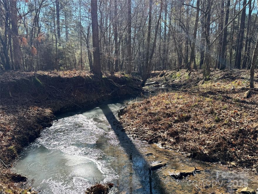 Discover 137.04 acres of pristine land nestled off Hwy 901 in Blackstock, SC. Perfectly positioned between Charlotte and Columbia, this expansive property offers the ideal blend of rural tranquility and convenient access, with Hwy 77 just a stone's throw away.

Boasting ample road frontage, this wooded paradise invites you to explore its natural beauty. The serene Scrabbler Branch Creek meanders through the landscape, adding a touch of enchantment and providing a natural water source. Whether you're an avid hunter, an outdoor enthusiast, or simply seeking a retreat, this land offers endless possibilities.

Imagine the freedom to create your own haven, whether it's a private estate, a recreational getaway, or a long-term investment. Your vision can become a reality. Don't miss this opportunity to own a slice of South Carolina's unspoiled countryside.

DO NOT WALK LAND WITHOUT PRIOR APPROVAL - FERAL HOGS NOTED ON PROPERTY