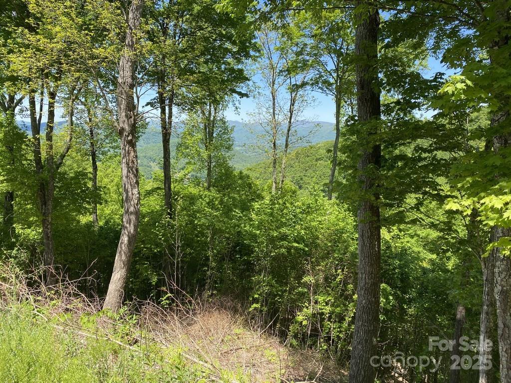 Lot 22 Spring Rock Road