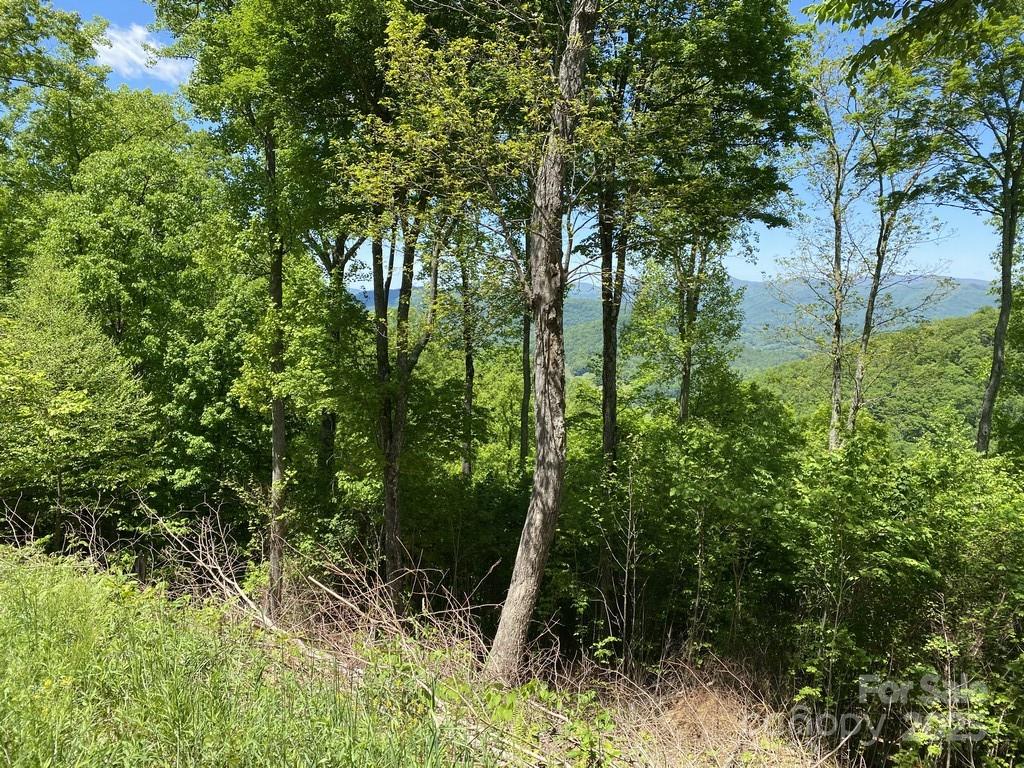 Lot 22 Spring Rock Road